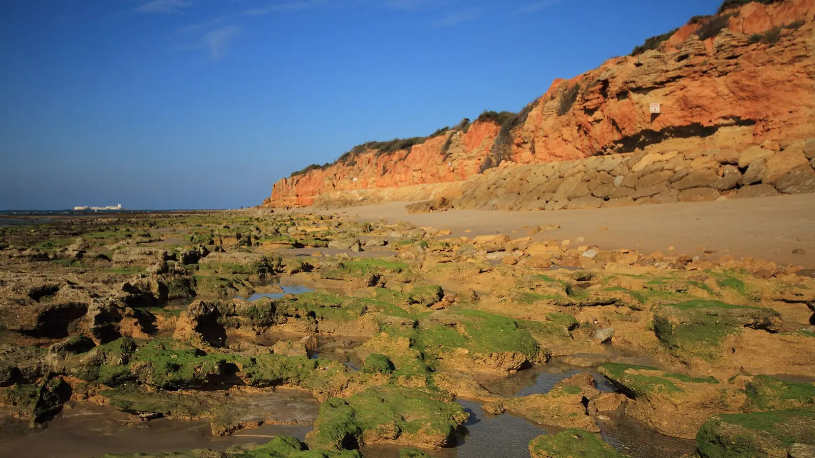 Chiclana de la Frontera – La Barrosa is a Spanish beach located in Chiclana de la Frontera (Cádiz), on the Costa de la Luz. It is 8 kilometers long, stretching from the cliff that separates it from Sancti Petri beach to Loma del Puerco.