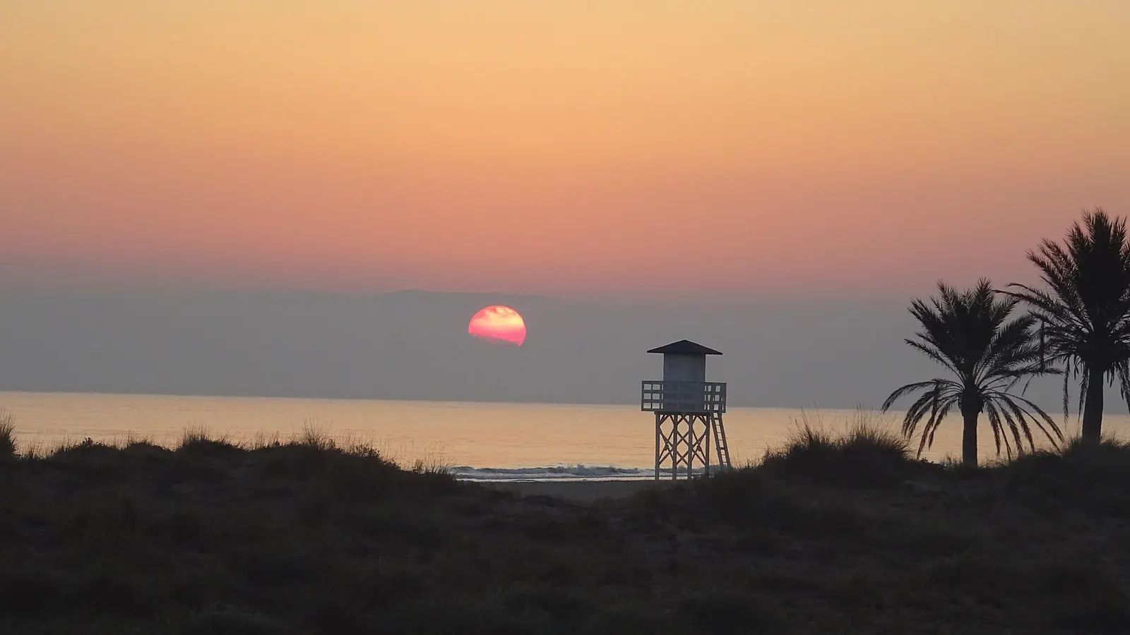 Gandía – Dunas en la playa de L'Ahuir, litoral de Gandía (Valencia), Zonas de Especial Protección ZEC, Comunidad Valenciana.